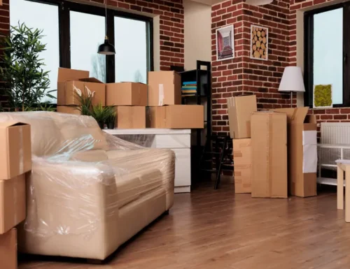 Shinehaul Cleaning and Moving Inc. photo 6